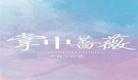掌中蔷薇txt百度云