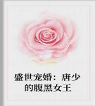 小说不婚女王免费阅读全文