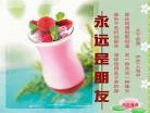 表达珍惜友情的句子说说心情