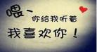 你不是喜欢我吗小说顾