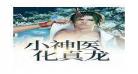 重生复仇神医归来txt下载