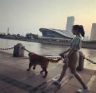 小温暖鹿随txt