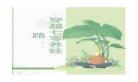 女主穿越养娃文
