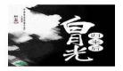 消失的白月光又回来了小说