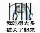 我的丹火吞了系统格格党
