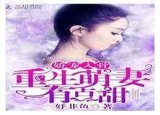 季先生 宠妻如宝全文免费阅读