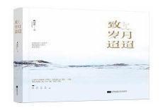 没有人像你by岁见txt下载